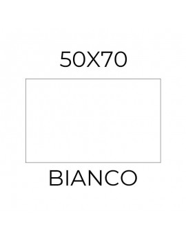 CARTONCINO BIANCO F4 cm.50X70 LISCIO/RUVIDO GR.220  art.51700697